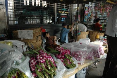COMERCIO - FLOR (6)